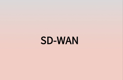 對企業(yè)而言，SD-WAN意味著什么?